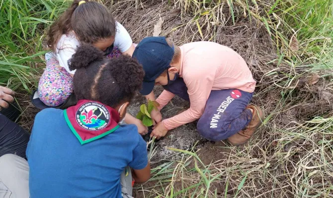 Escoteiros como multiplicadores da Agricultura Inteligente
