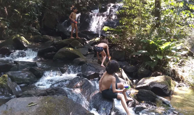 Eco Quintal Brincante
