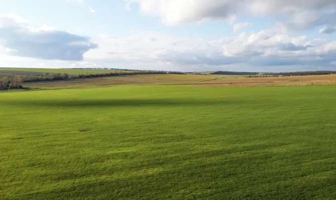 Green Horizons