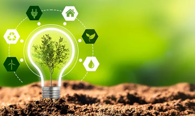 Roots of Renewal- Rewilding Our Forests