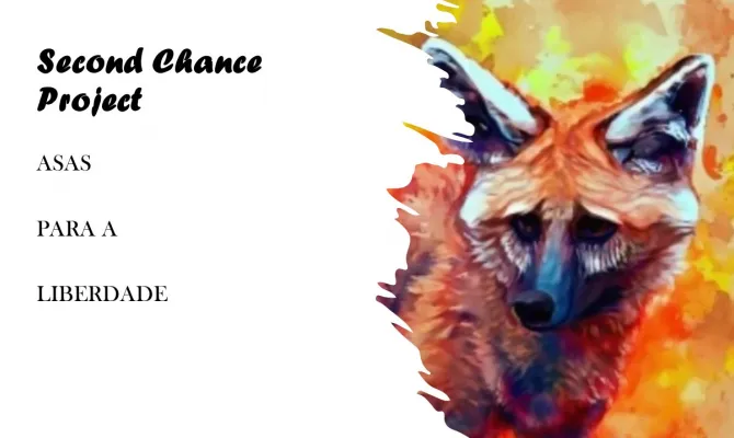 The second chance Project (ASAS para a Liberdade)